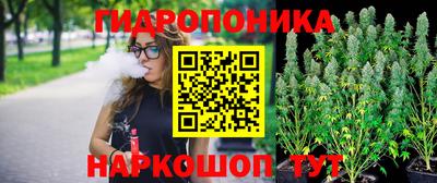 дурь Дубна