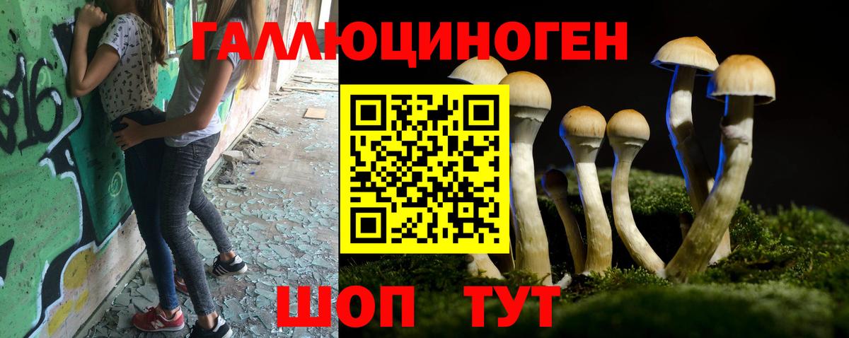 Новоуральск  Галлюциногенные грибы Magic Shrooms  Вход с VPN 